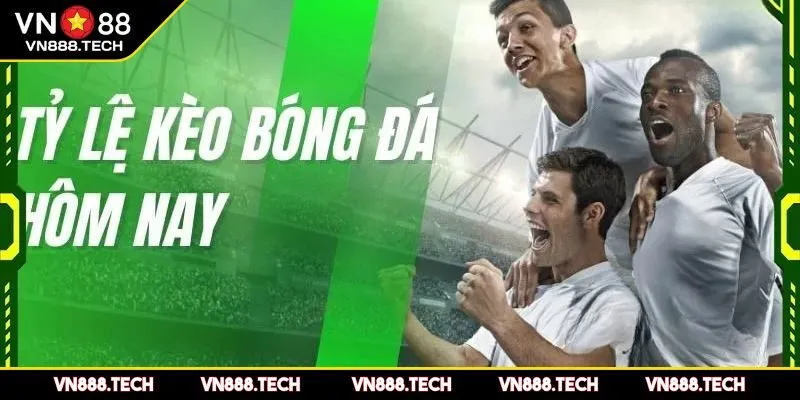 Hiểu rõ bản chất tỷ lệ kèo nhà cái