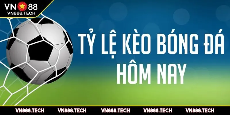 Thấu hiểu các loại kèo phổ biến